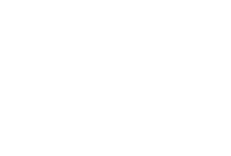SWG GmbH Logo